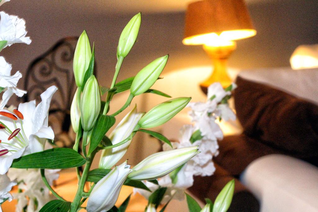 Luxury Villa Orh Rovinj Zimmer foto