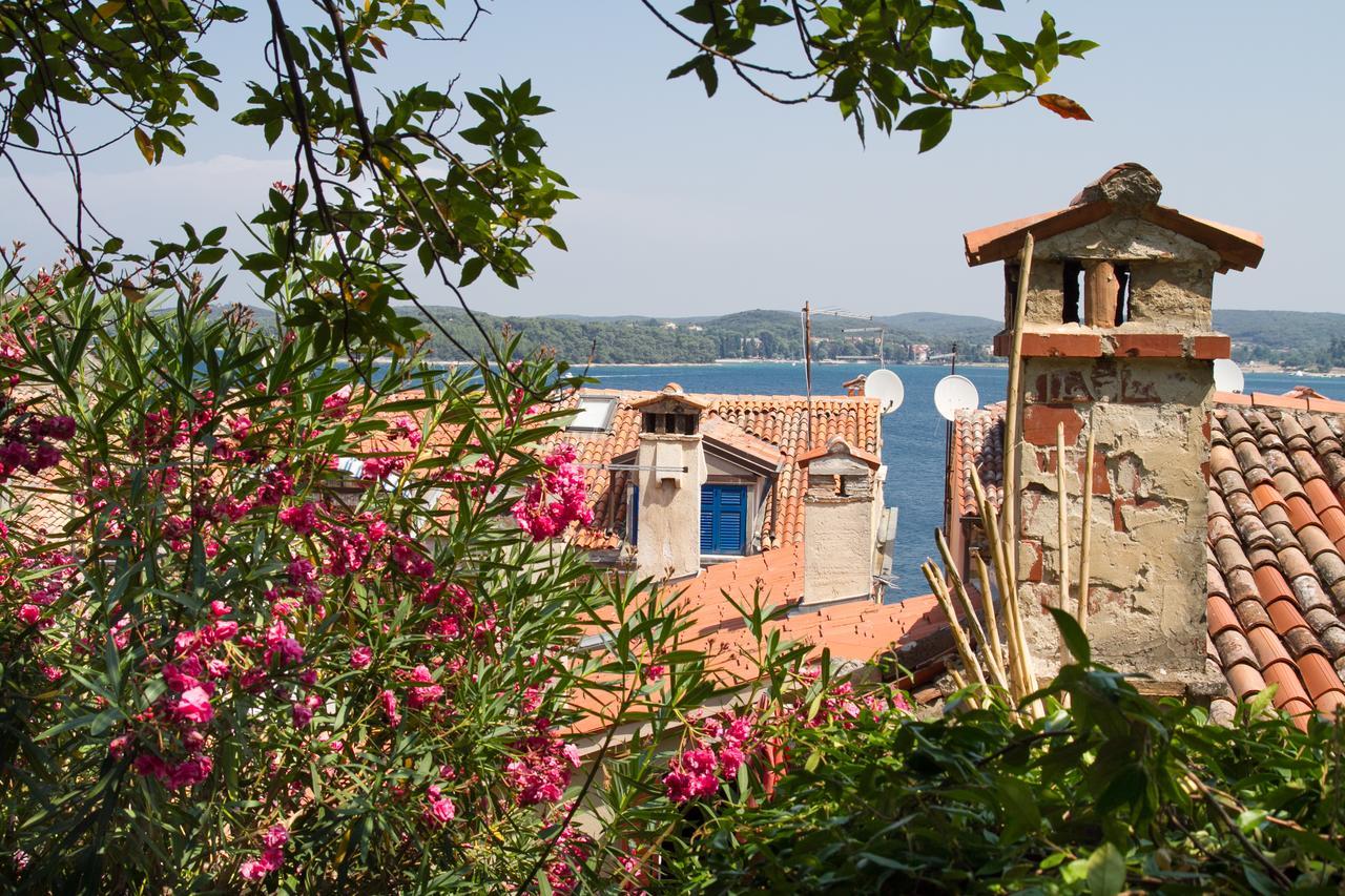 Luxury Villa Orh Rovinj Exterior foto